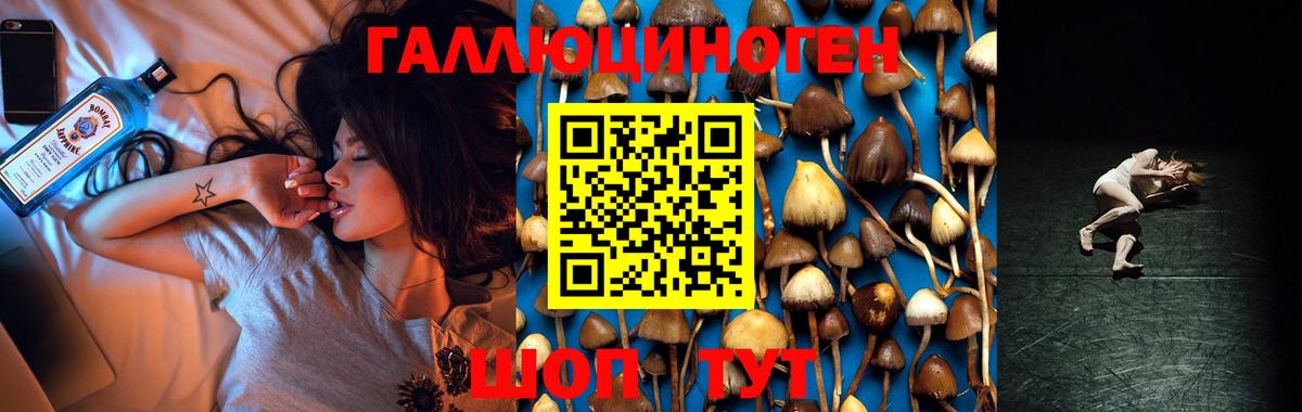 Коломна  Галлюциногенные грибы прущие грибы  Вход с VPN 
